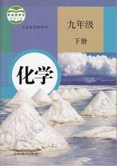 人教版初中课本教科书初三 9 九年级下册 化学