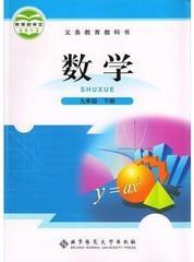 初中数学九年级下册教材课本教科书 北京师范大学出版社