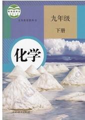 人教版人民教育出版社初三九年级下册化学课本教材教科书