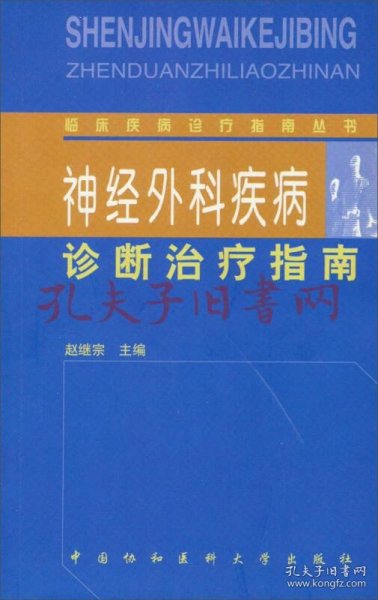 临床疾病诊疗指南丛书：神经外科疾病诊断治疗指南