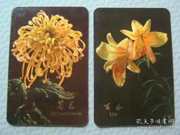 年历片：百合、菊花1974（两张）