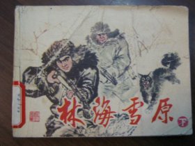 林海雪原（中下）
