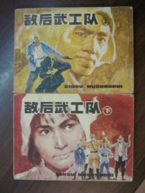 敌后武工队（上下）