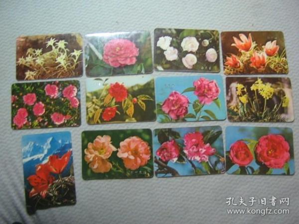 年历片：花卉1975（12张）