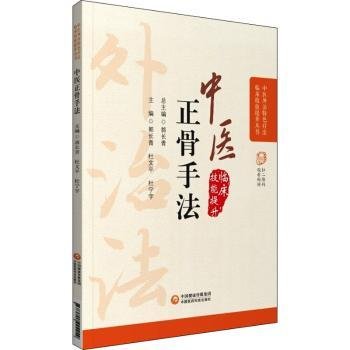 中医刺血疗法（中医外治特色疗法临床技能提升丛书）