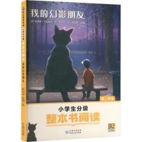 整本书阅读·二学段：我的幻影朋友9787221184337 凯瑟琳·艾波盖特_杨华京_周其贵州人民出版社
