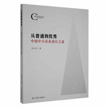 从普通到优秀 : 中国中小企业成长之道