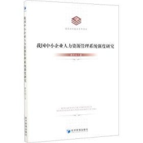 我国中小企业人力资源管理系统强度研究9787509652930 唐贵瑶经济管理出版社