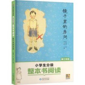 整本书阅读·三学段：镜子里的房间9787221184412 殷健灵_周益民贵州人民出版社