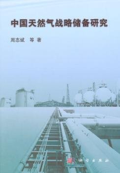 中国天然气战略储备研究9787030428011 周志斌等科学出版社