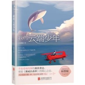 我的云端少年9787550269125 摇摆鲸北京联合出版公司