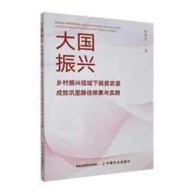 大国振兴:乡村振兴视域下脱贫攻坚成效巩固路径探索与实践9787109310605 周青浮中国农业出版社