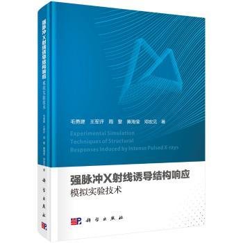 强脉冲X射线诱导结构响应模拟实验技术9787030607058 毛勇建科学出版社