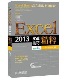 Excel 2013实战技巧精粹