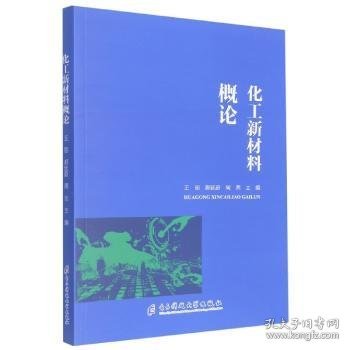 化工新材料概论9787564782924 王丽电子科技大学出版社