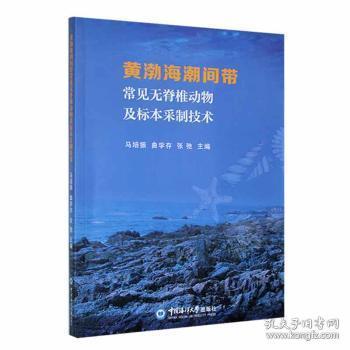 黄渤海潮间带常见无脊椎动物及标本采制技术9787567032378 马培振中国海洋大学出版社