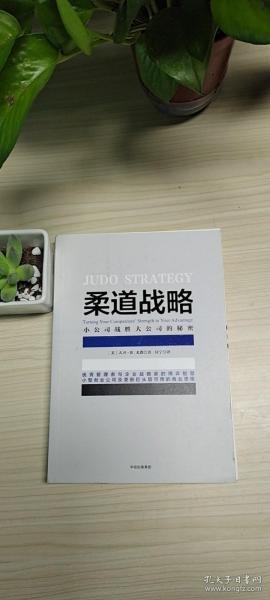 柔道战略：小公司战胜大公司的秘密