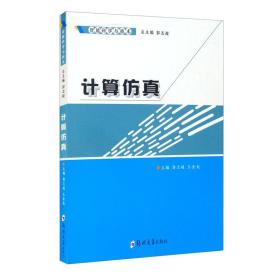 智能科学与技术：计算仿真