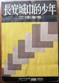 长安城中的少年