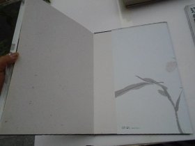 许宏泉花鸟画集（8开精装一本，原版正版老书。详见书影）FD21-D 顶部分袋4。2025.6.7整理