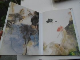 许宏泉花鸟画集（8开精装一本，原版正版老书。详见书影）FD21-D 顶部分袋4。2025.6.7整理
