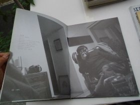 许宏泉花鸟画集（8开精装一本，原版正版老书。详见书影）FD21-D 顶部分袋4。2025.6.7整理