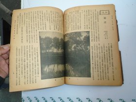 时兆月刊  第三十二卷第五期    1937年5月1日发行，16开平装1本。原版正版老书，包真，内页全，前6页书边有裂口，品相如图，原物拍摄，详见书影。放在电脑后1号柜台，上至下第3层。2024.2.17整理第1包