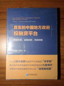 真实的中国地方政府投融资平台