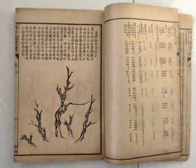 民国石印-芥子园画传初集（树谱、山石谱、人物屋宇谱、模仿各家），一函四册六卷全，民国甲寅年上海共和书局