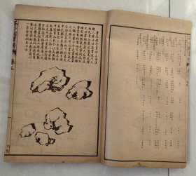 民国石印-芥子园画传初集（树谱、山石谱、人物屋宇谱、模仿各家），一函四册六卷全，民国甲寅年上海共和书局