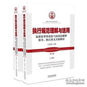 执行规范理解与适用（第三版）：最新民事诉讼法与民诉法解释保全、执行条文关联解读 （上下册