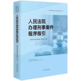 2022新书 人民法院办理刑事案件程序指引