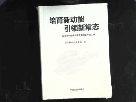 培育新动能引领新常态：山东中小企业创新发展转型升级之路（未拆封）