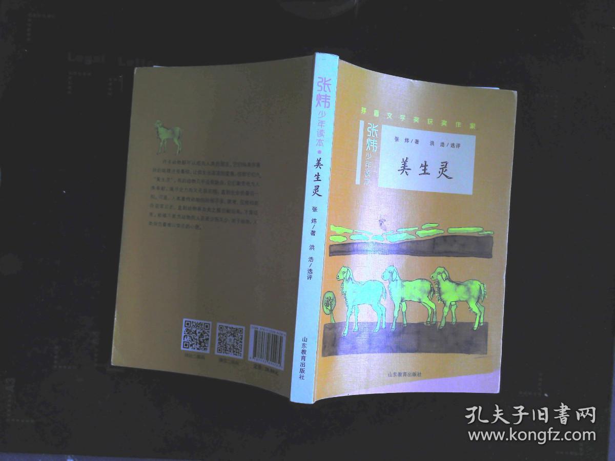 张炜少年读本 美生灵
