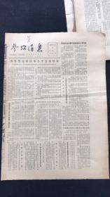 老报纸 参考消息1981年5月第8164期