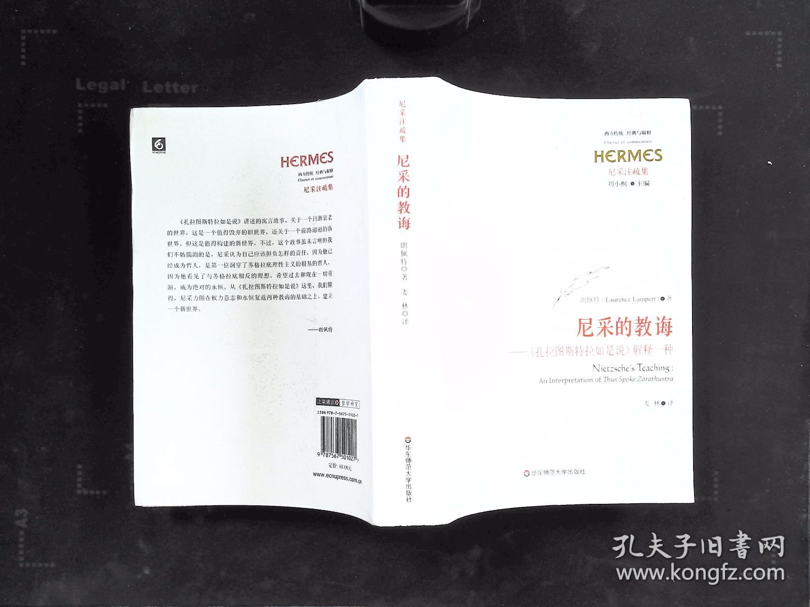 尼采的教诲：《扎拉图斯特拉如是说》解释一种