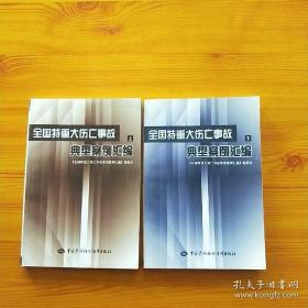 全国特重大伤亡事故典型案例汇编 （上下）
