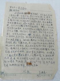 1958年关于三青团问题材料