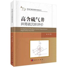 高含硫气井井筒硫沉积评价