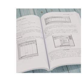 【正版新书】 SPSS统计分析入门与应用精解 视频教学版 杨维忠 张甜 清华大学出版社 统计分析 可做教材教程图书书籍