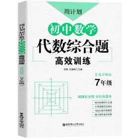 周计划：初中数学代数综合题高效训练（7年级）