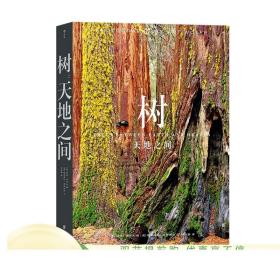 新书现货 树 天地之间 著名生态风光摄影师阿特沃尔夫的树木礼赞 近300张照片展现构图技艺呈现自然奇观影集画册书籍 正版