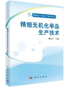 精细化工产品生产技术丛书：精细无机化学品生产技术