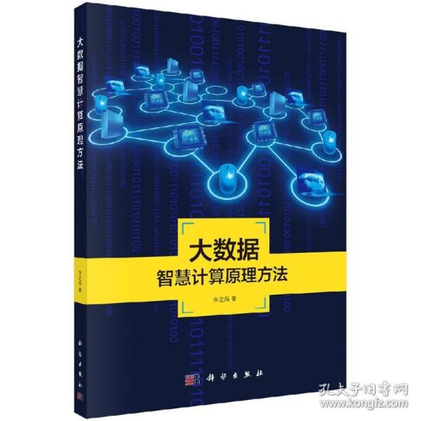 地理信息系统理论与应用丛书：大数据智慧计算原理方法