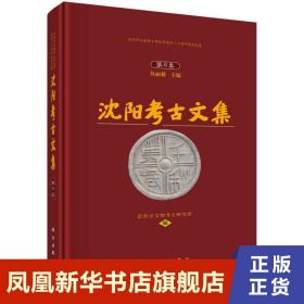 沈阳考古文集 第8集 沈阳市文物考古研究所 编 丛丽莉 主编 历史书籍历史知识读物 文物考古 正版书籍