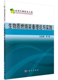 生物质燃烧装备理论与实践