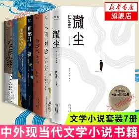 微尘（易中天感动推荐；陈年喜非虚构故事集；卑微如尘，也要热烈地活着。）