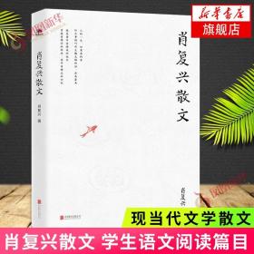 肖复兴散文 肖复兴著 收录花边饺和拥你入睡中小学语文阅读篇目 手绘插图 现当代文学散文精选集名家作品