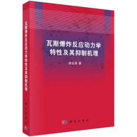 [按需印刷]瓦斯爆炸反应动力学特性及其抑制机理