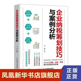 企业纳税筹划技巧与案例分析